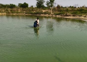 Auraiya News: तालाब में उतराता मिला युवक का शव