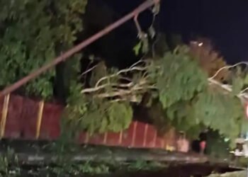 Auraiya News: आंधी में 400 खंभे टूटे, बिजली सप्लाई बेपटरी