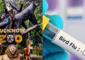 UP : दो सप्ताह के बाद आज से खुलेंगे प्रदेश के जू और लॉयन सफारी, कानपुर-गोरखपुर में अभी रहेगी बंद