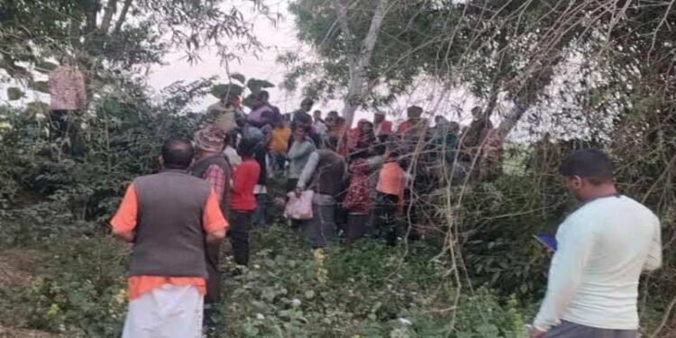 Auraiya News: पेड़ पर फंदे से लटका मिला युवक का शव