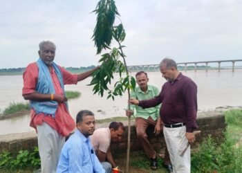 Auraiya News: इस बार रोपे जाएंगे 42 लाख पौधे