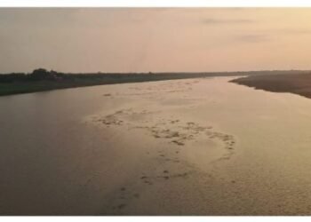 Auraiya News: बाढ़ का खतरा बढ़ा, कोटा बैराज से छोड़ा गया 56 हजार क्यूसेक पानी