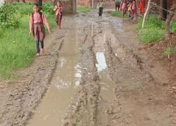 Auraiya News: 15 साल से नहीं हुई सड़क की मरम्मत, बारिश में दलदल