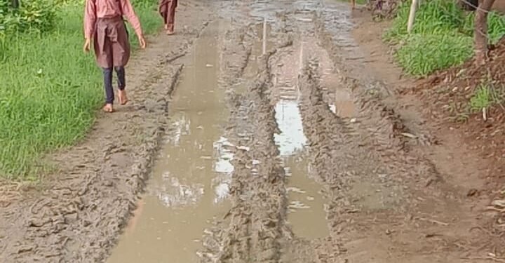 Auraiya News: 15 साल से नहीं हुई सड़क की मरम्मत, बारिश में दलदल