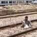 Auraiya News: नशे की हालत में रेलवे ट्रैक पर लेटा युवक