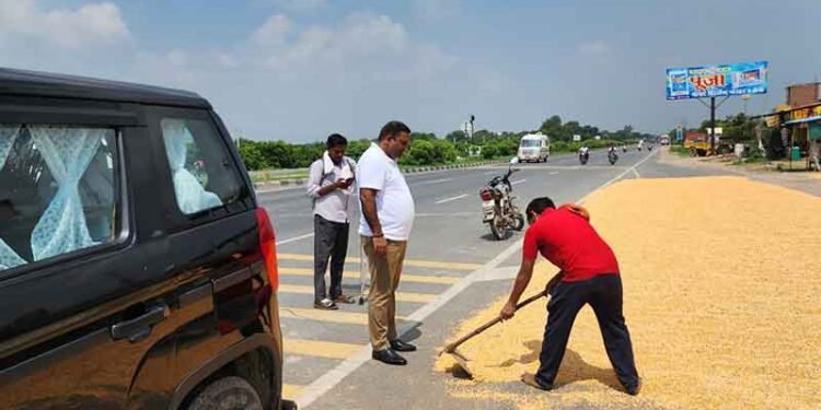 Auraiya News: सड़कों पर सूख रहे मक्के से हादसों का खतरा