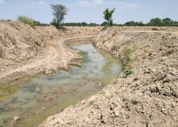 Auraiya News: मनरेगा से संवर रहीं अन्हैया व पांडु नदियां, बहेगी जलधारा