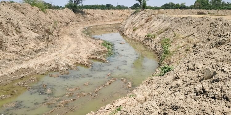 Auraiya News: मनरेगा से संवर रहीं अन्हैया व पांडु नदियां, बहेगी जलधारा