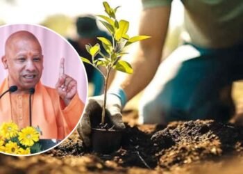 यूपी: प्रदेश में आज रोपे जाएंगे 37 करोड़ पौधे, सीएम योगी अयोध्या में रहेंगे मौजूद;