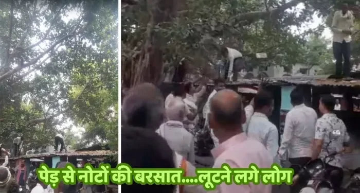 UP: यूपी के इस जिले में अचानक पेड़ से बरसने लगे नोट… बटोरने के लिए दौड़े पड़े लोग