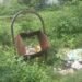 Auraiya News: कूड़ेदान गायब, खाली प्लॉटों में कूड़ा,