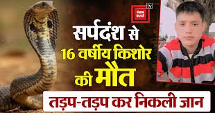 Auraiya News: सांप के डसने से किशोर ने तोड़ा दम
