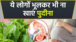 सुबह खाली पेट पुदीना खाने से क्या नुकसान होता है