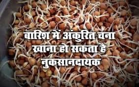 जानें अंकुरित चना खाने से क्या नुकसान होता है