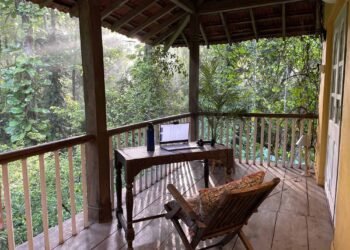 How Many Foolish Fellows Can You Handle in a Day?