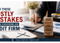 audit firm